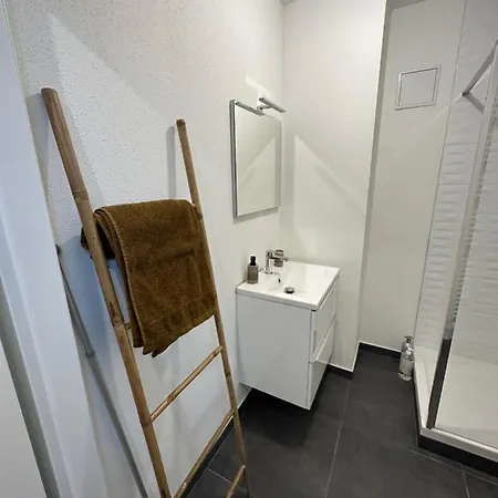 Atypique Proche Gare/ Dans L'hyper-centre Spacieux Pour 6p Au Coeur De * Mulhouse