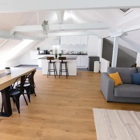 Apartment Atypique Proche Gare/ Dans L'hyper-centre Spacieux Pour 6p Au Coeur De Mulhouse